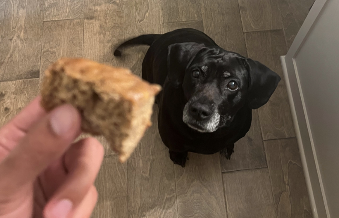 Screenshot 2025-07-30 at 2.48.28 PM